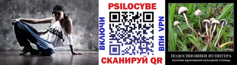 Псилоцибиновые грибы прущие грибы  Минусинск 