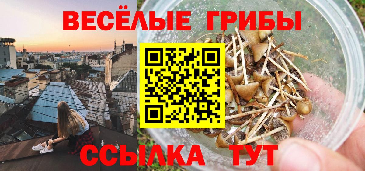 Псилоцибиновые грибы мухоморы Минусинск