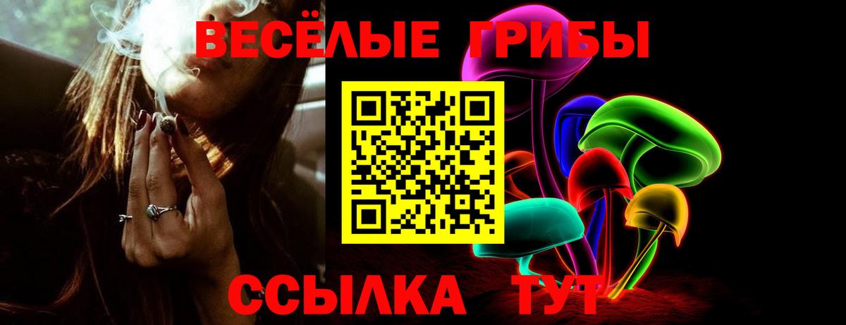 Галлюциногенные грибы GOLDEN TEACHER  Псилоцибиновые грибы мицелий  Минусинск  Вход с VPN 